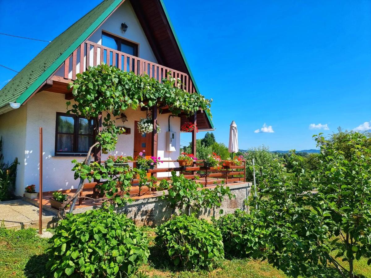 Guesthouse Mreznica- Mreznicka Idila Resort Galovic-Selo Exterior photo